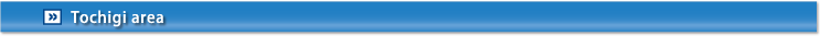 Tochigi area 